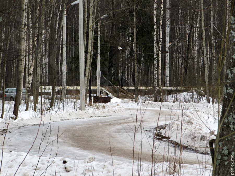 Мартышкино, подъездной путь Мартышкино, подъездной путь