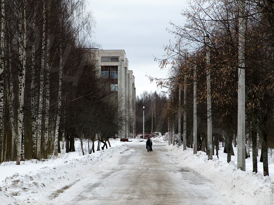 Мартышкино, подъездной путь Мартышкино, подъездной путь