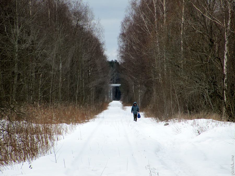 Мартышкино, подъездной путь Мартышкино, подъездной путь