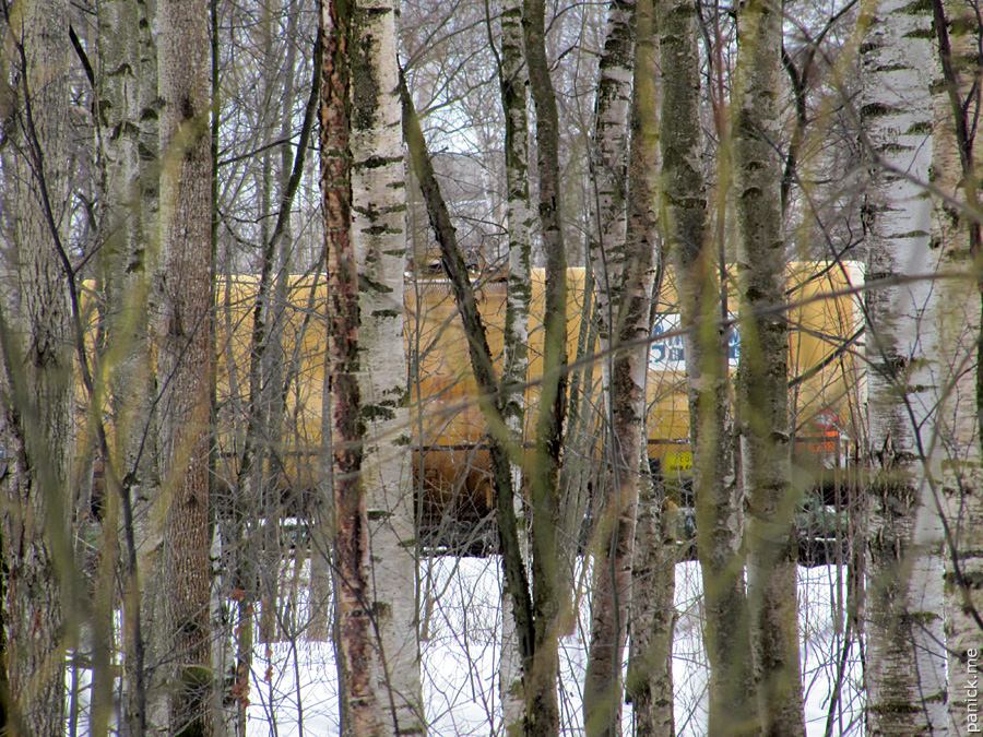 Мартышкино, подъездной путь Мартышкино, подъездной путь