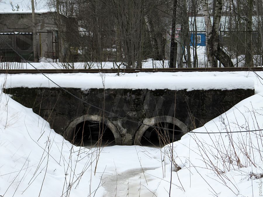Мартышкино, подъездной путь