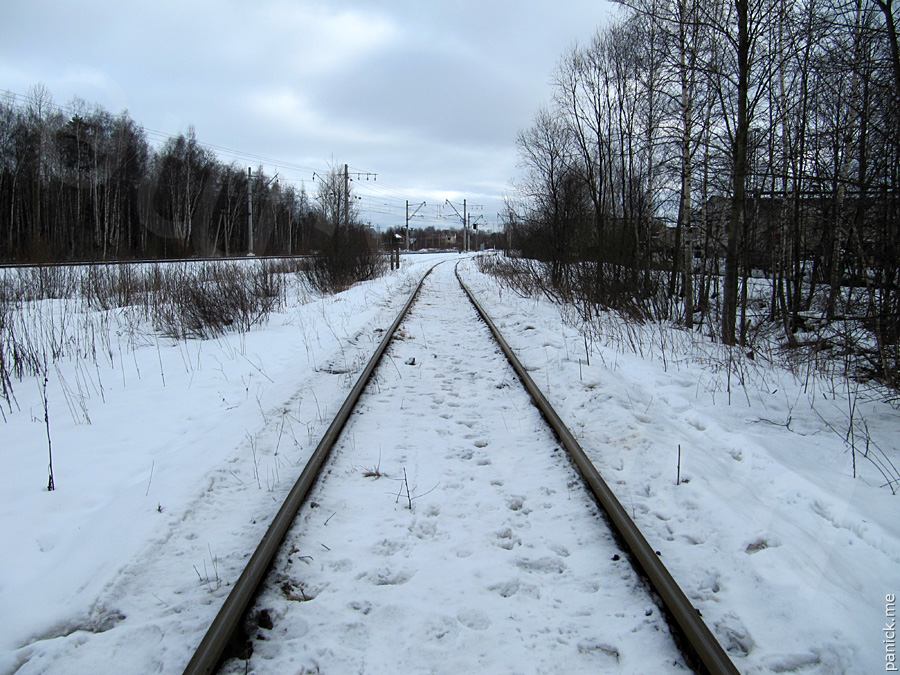 Станция Старый Петергоф, подъездной путь Станция Старый Петергоф, подъездной путь