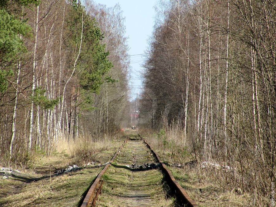Мартышкино, подъездной путь Мартышкино, подъездной путь