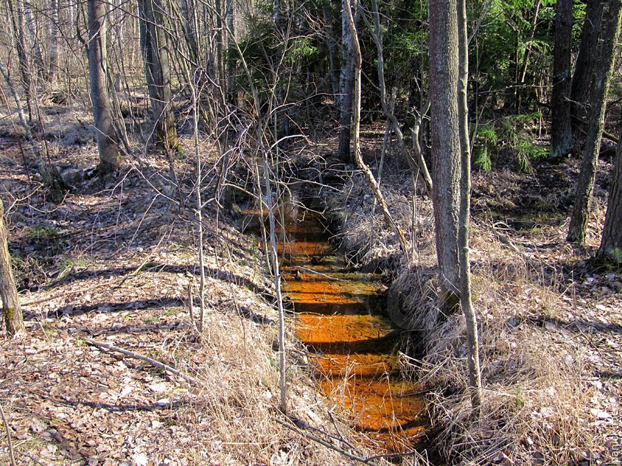 Мартышкино, подъездной путь Мартышкино, подъездной путь