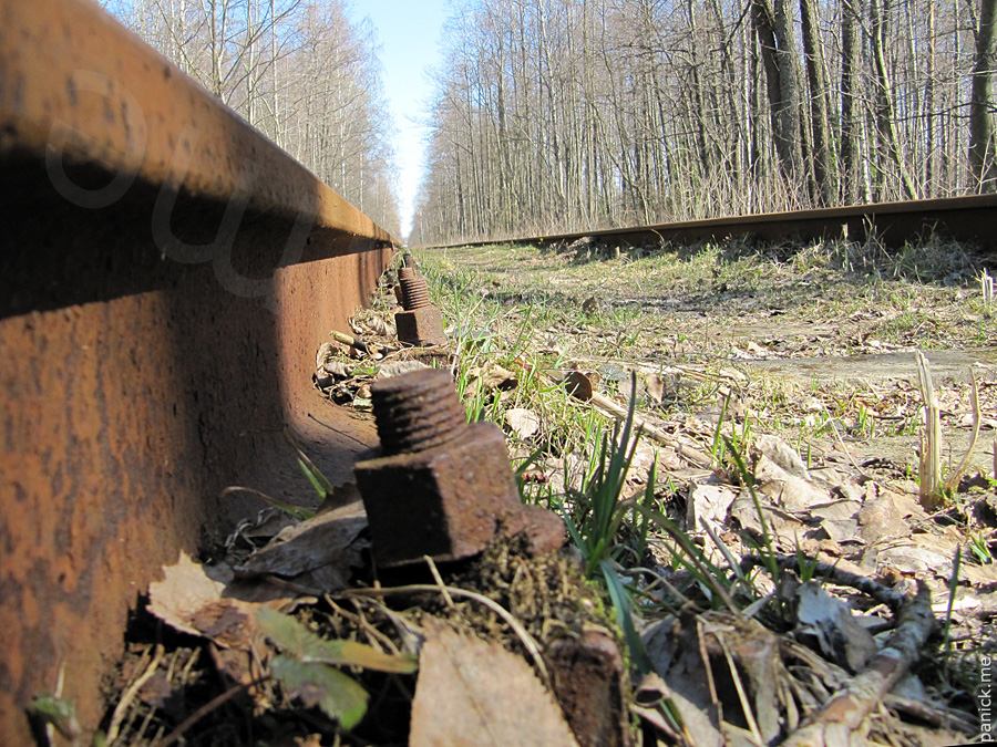 Мартышкино, подъездной путь Мартышкино, подъездной путь