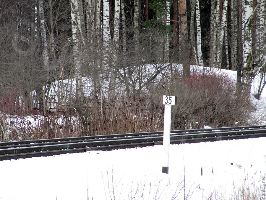 Край позиции ж/д транспортеров в Мартышкино Край позиции ж/д транспортеров в Мартышкино