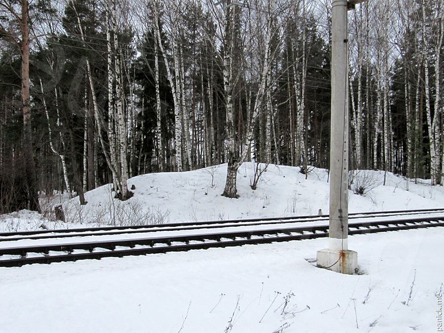 Мартышкино Мартышкино