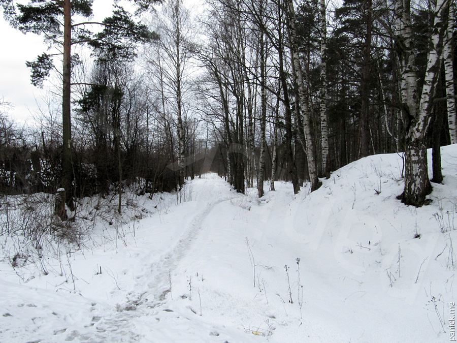 Мартышкино Мартышкино