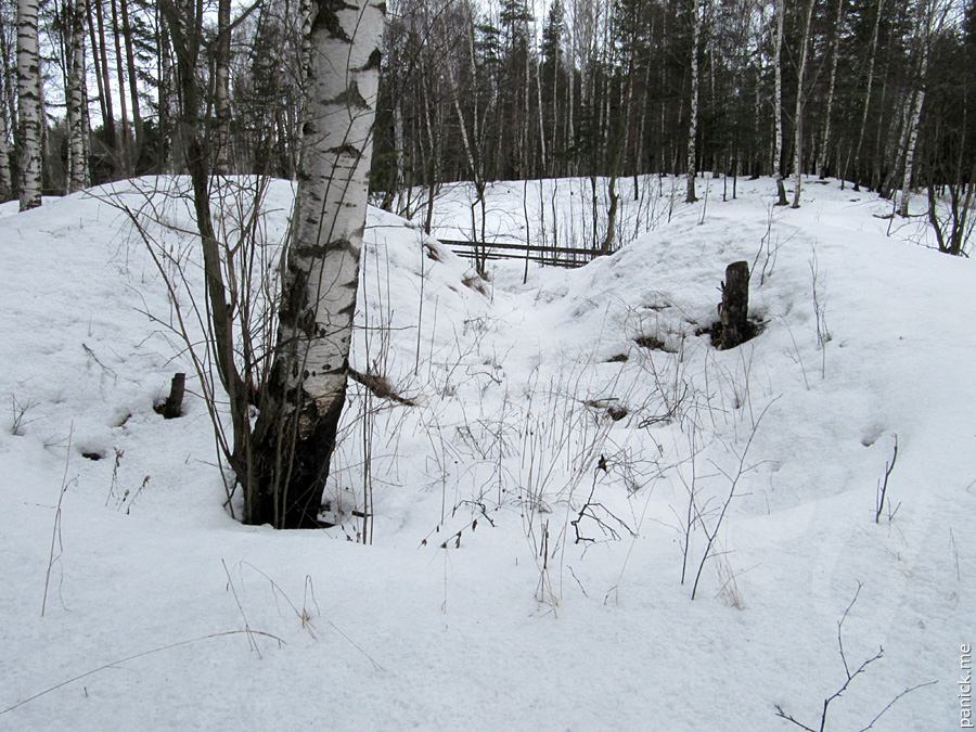 Мартышкино Мартышкино