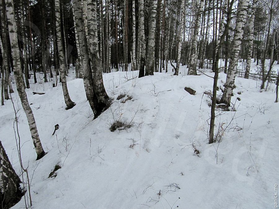 Мартышкино Мартышкино