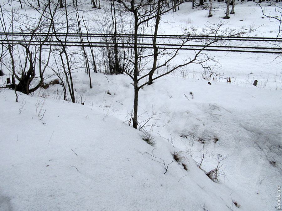 Мартышкино Мартышкино