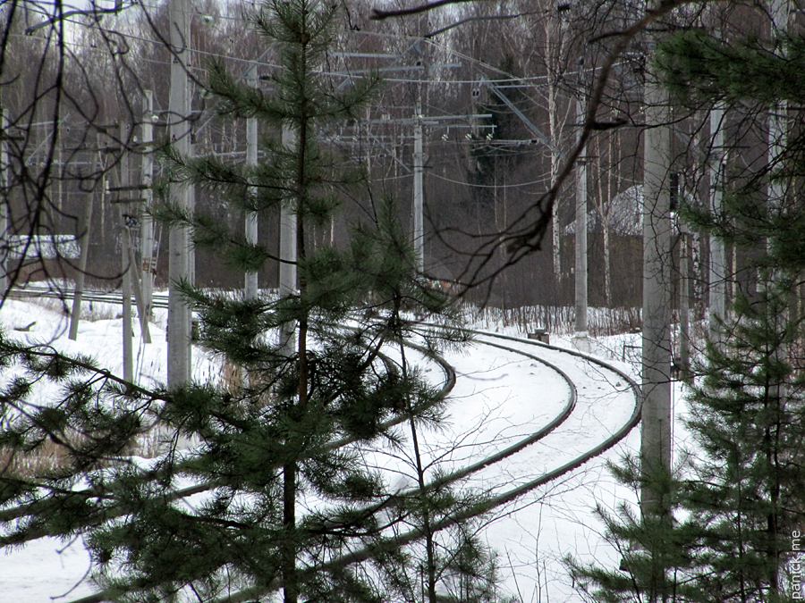 Край позиции ж/д транспортеров в Мартышкино Край позиции ж/д транспортеров в Мартышкино