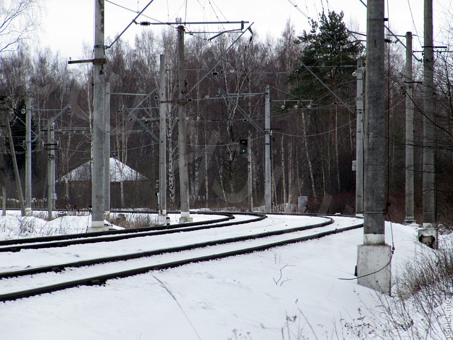 Мартышкино Мартышкино