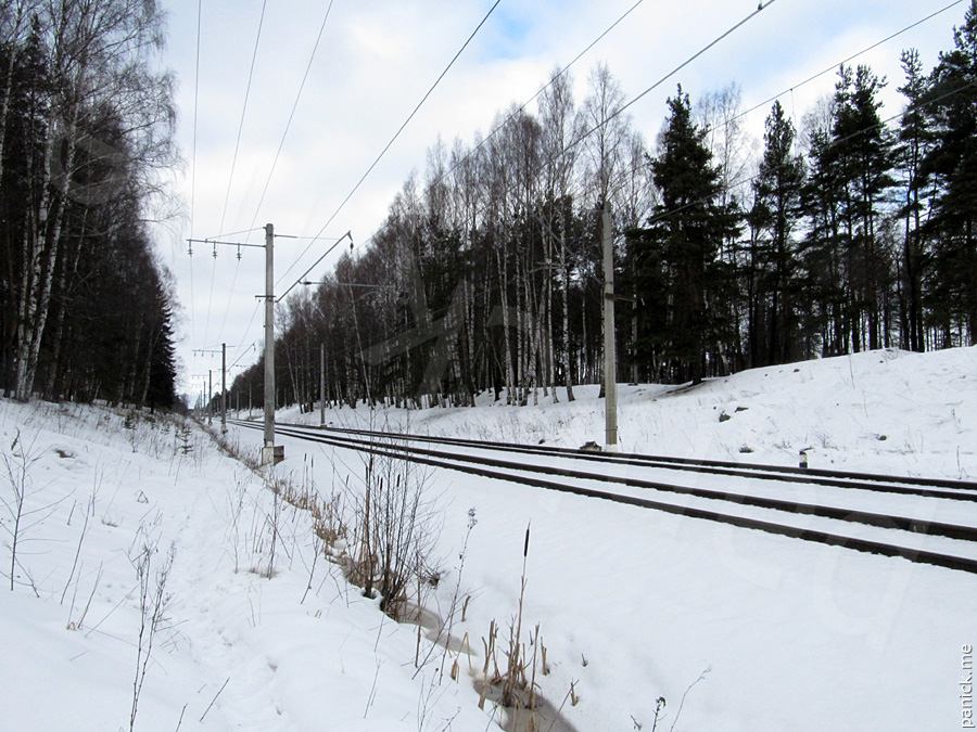 Мартышкино Мартышкино