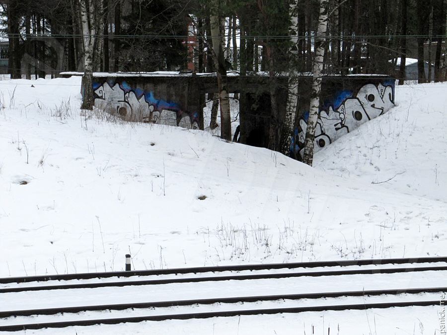 Мартышкино Мартышкино