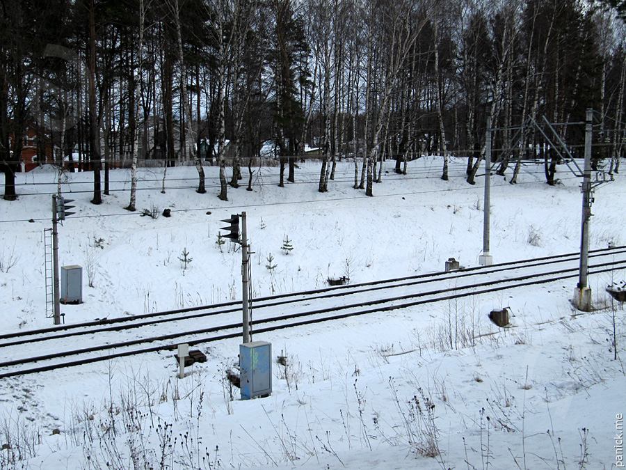 Мартышкино