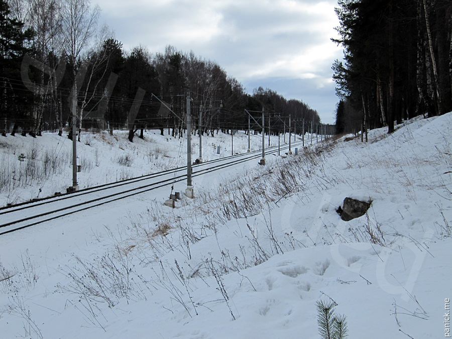 От Университета к Мартышкино