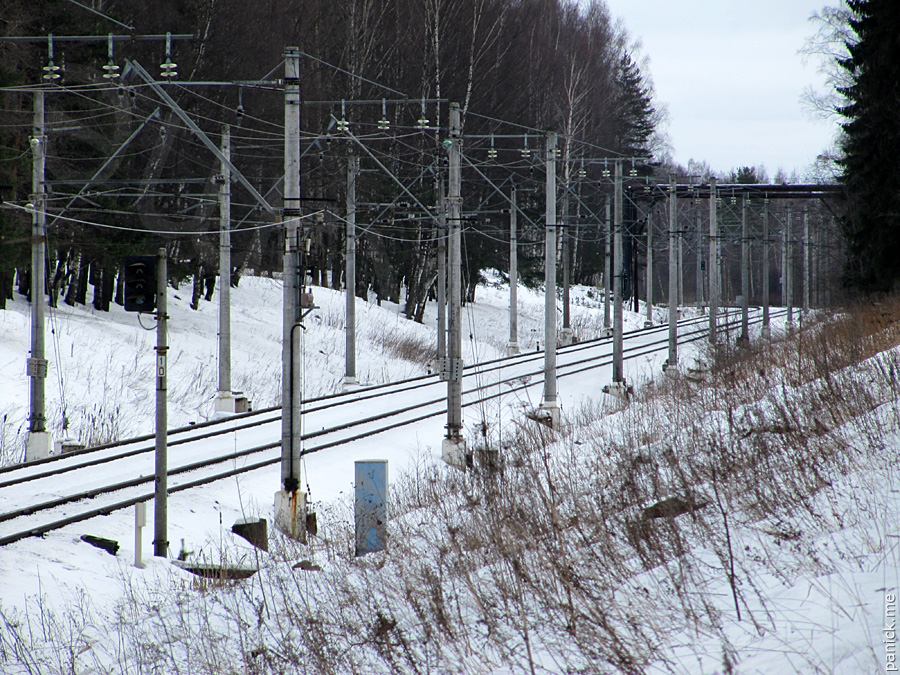 Мартышкино Мартышкино