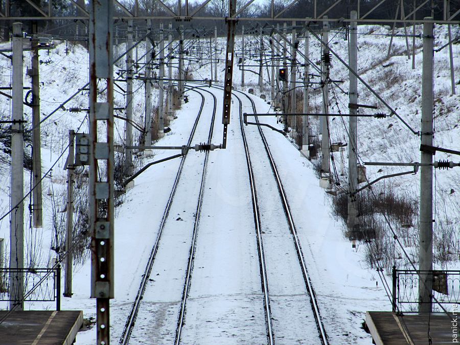 Мартышкино