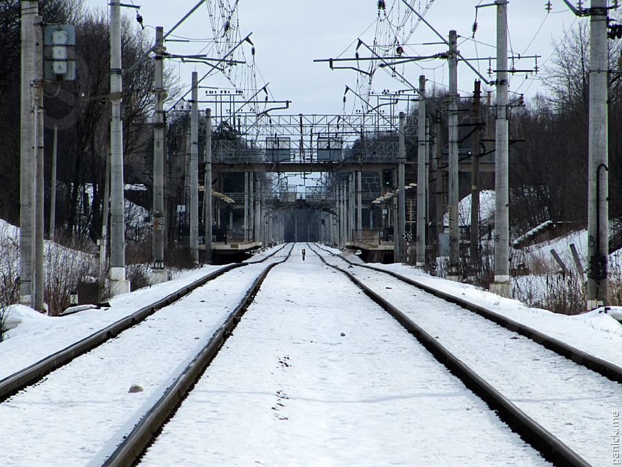 Мартышкино Мартышкино