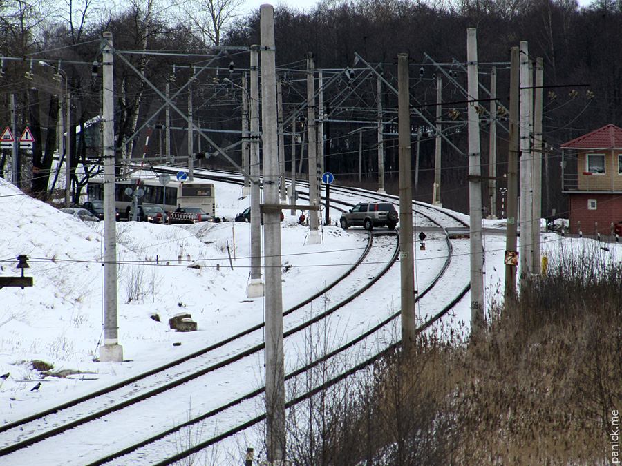 Мартышкино Мартышкино