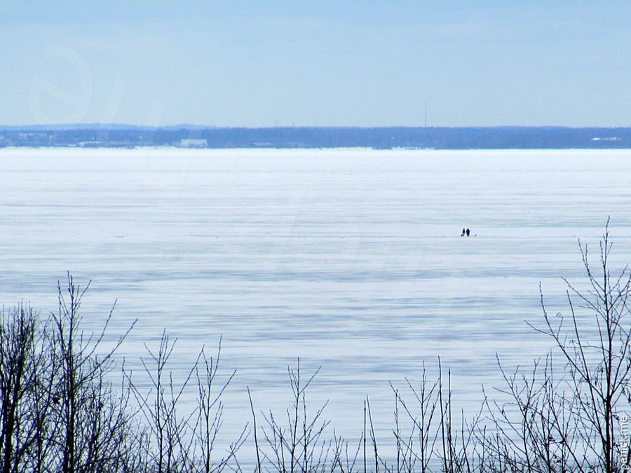 Мартышкино, вид через Финский залив Мартышкино, вид через Финский залив