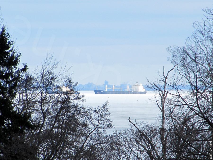 Мартышкино, вид через Финский залив Мартышкино, вид через Финский залив