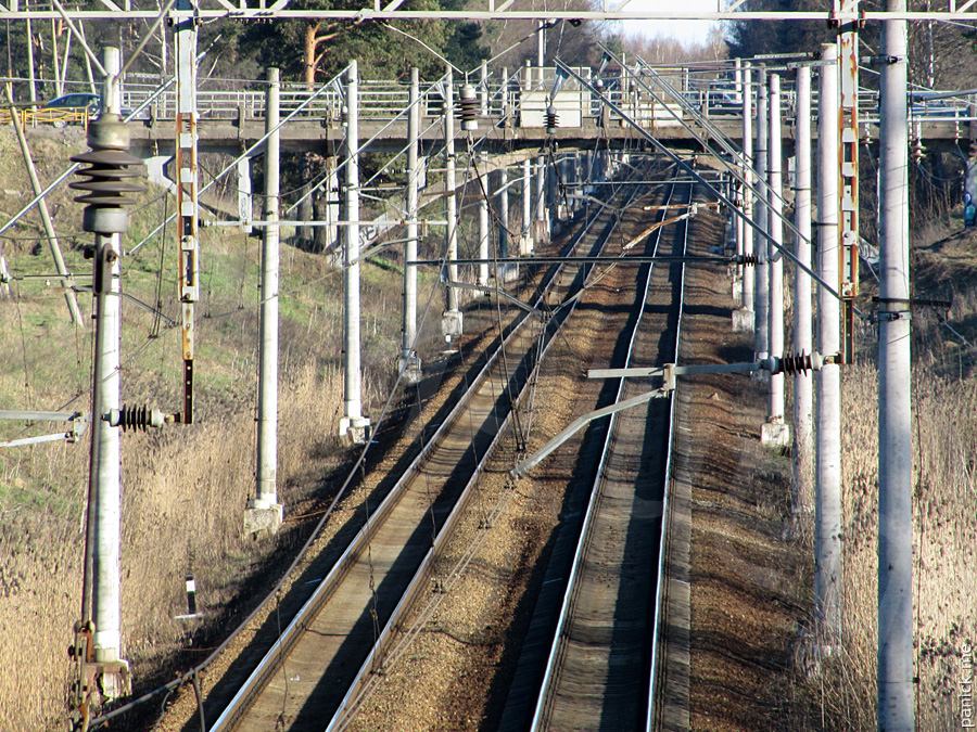 Мартышкино