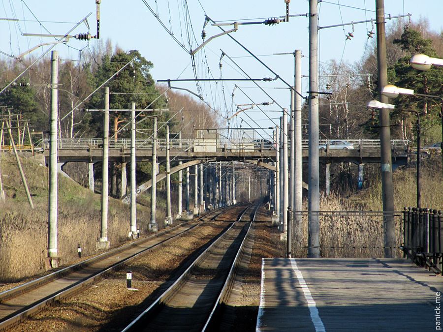 Мартышкино Мартышкино