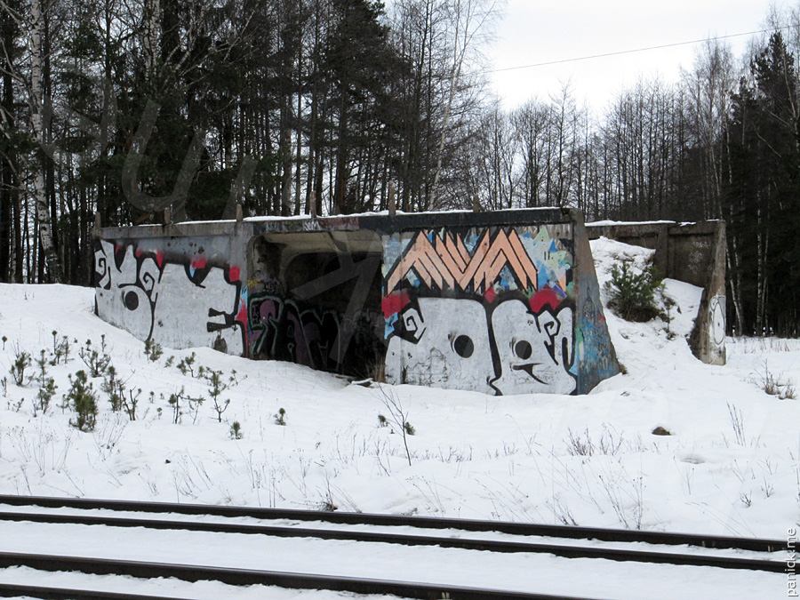 мост ОРАНЭЛы, Мартышкино Мост ОРАНЭЛы, Мартышкино