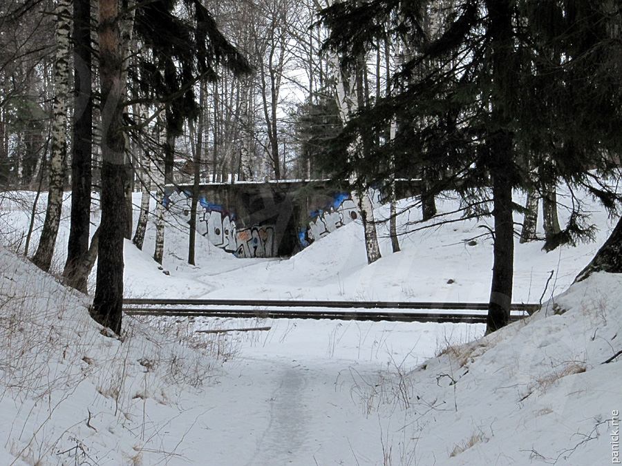 мост ОРАНЭЛы, Мартышкино Мост ОРАНЭЛы, Мартышкино