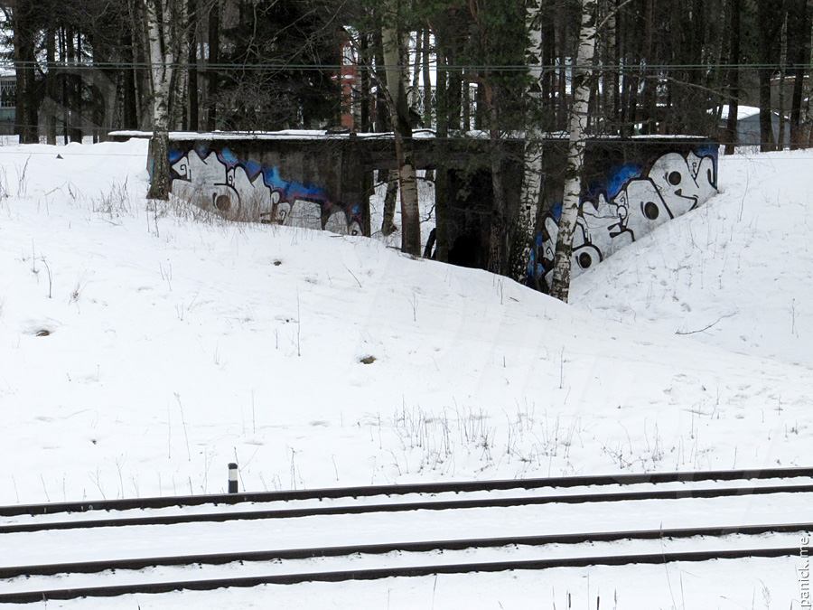 Мост ОРАНЭЛы, Мартышкино
