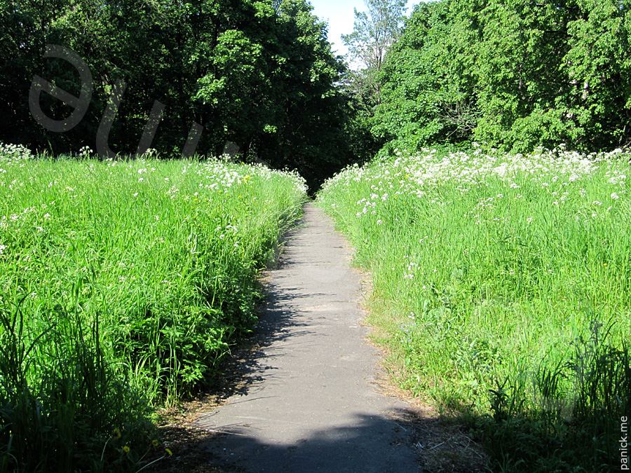 Пулковская обсерватория