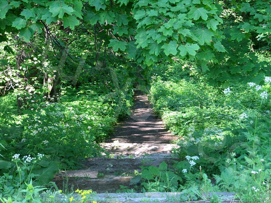 Пулковская обсерватория