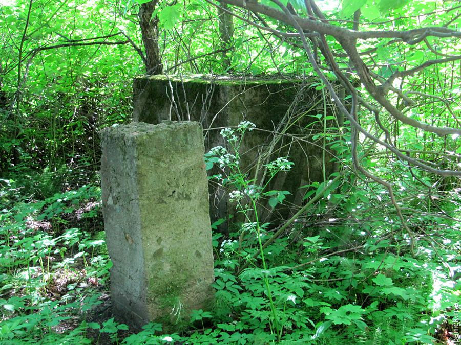 Пулковская обсерватория